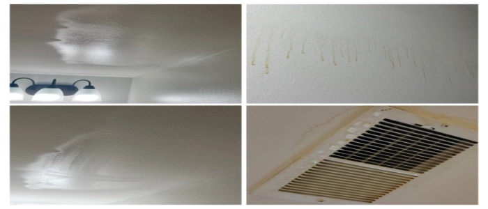 Anti Condensation Paint: A Smart Coating Solution for Moisture Control ...